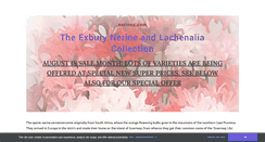 Desktop Screenshot of nerines.com